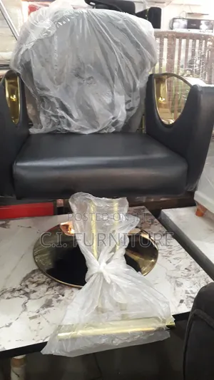 Good Saloon Chair for People's