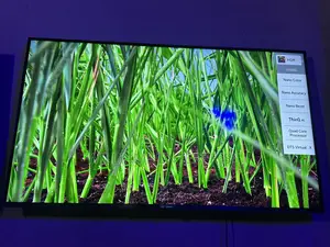 Lg 55 Inches Smart Nanocell Tv