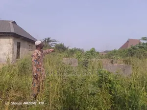 KLMS of Virgin Farmland Near Sokoto Rd Ogun State