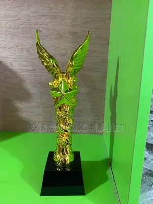 Photo - Non Peeling Trophy Award Pg820