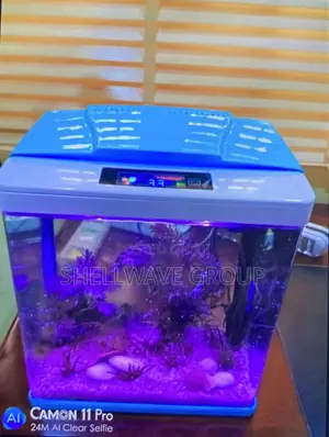 7liters Aquarium With Fishes and Decor