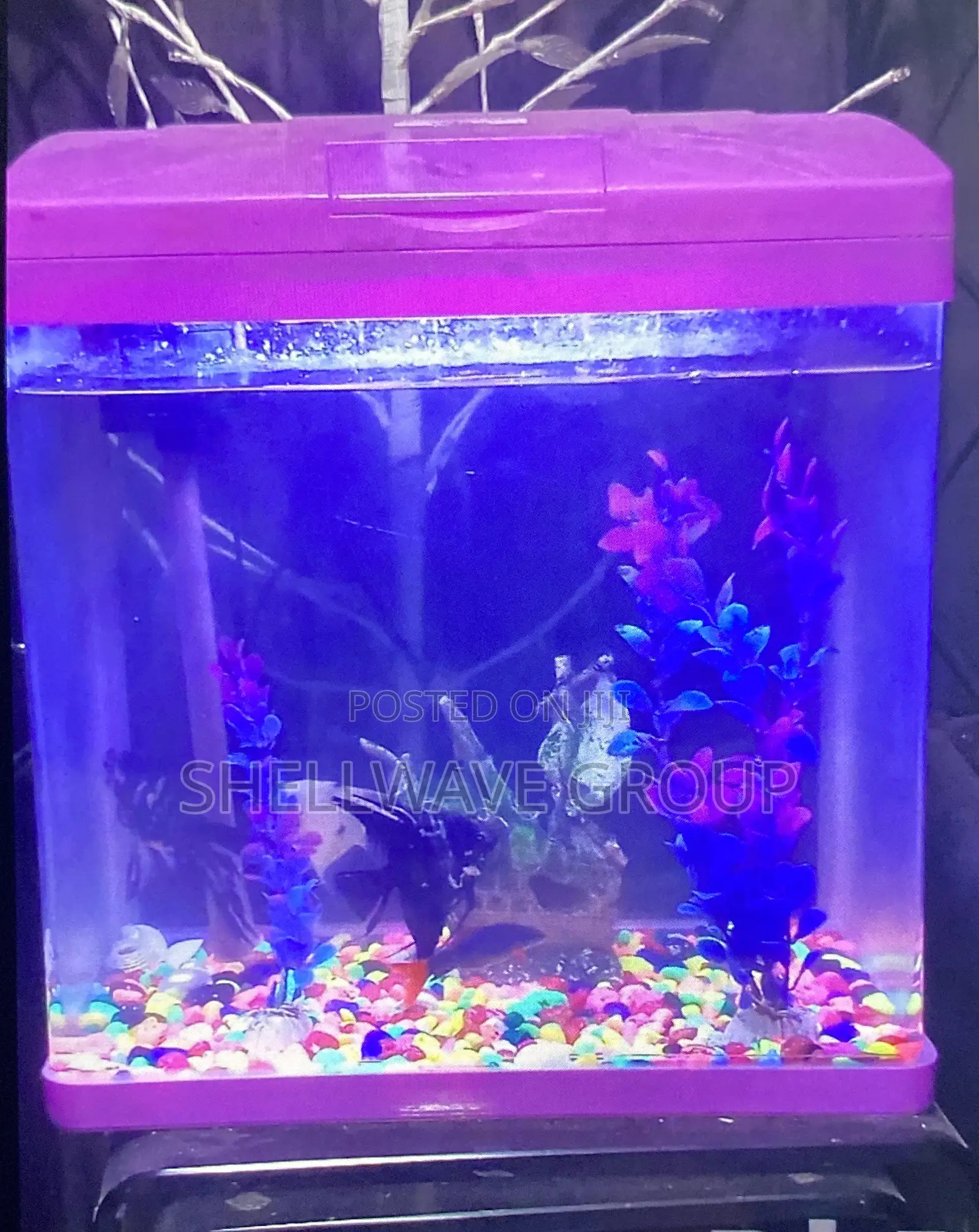 11liters Complete Aquarium Set With Decor and Fishes