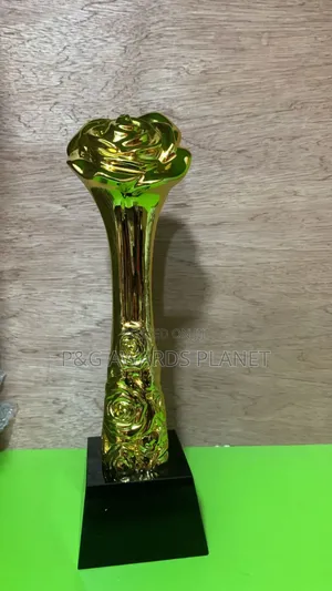 Photo - Trophy Award Pg844