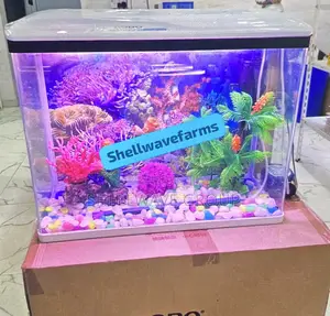 64l Imported Aquarium With Fishes and Decorations