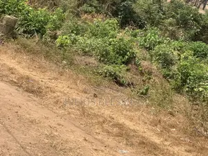 2 Plot of Land at Kara Akinyele Near Road