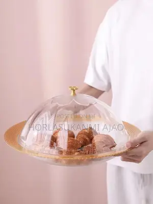 Transparent Plastic Round Food Cover
Big