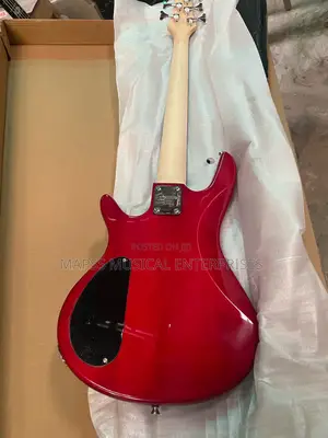 Fender Five Strings Electric Bass Guitar