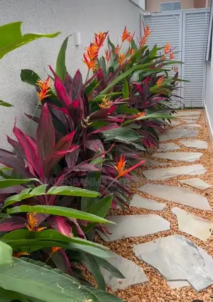 A Commercial Landscaping Project