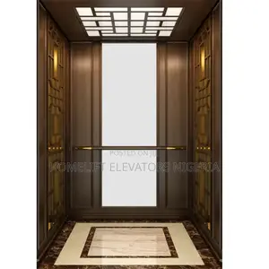 Small Shaftless Residential Lift Platform