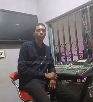 Need a Professional Sound Engineer??
