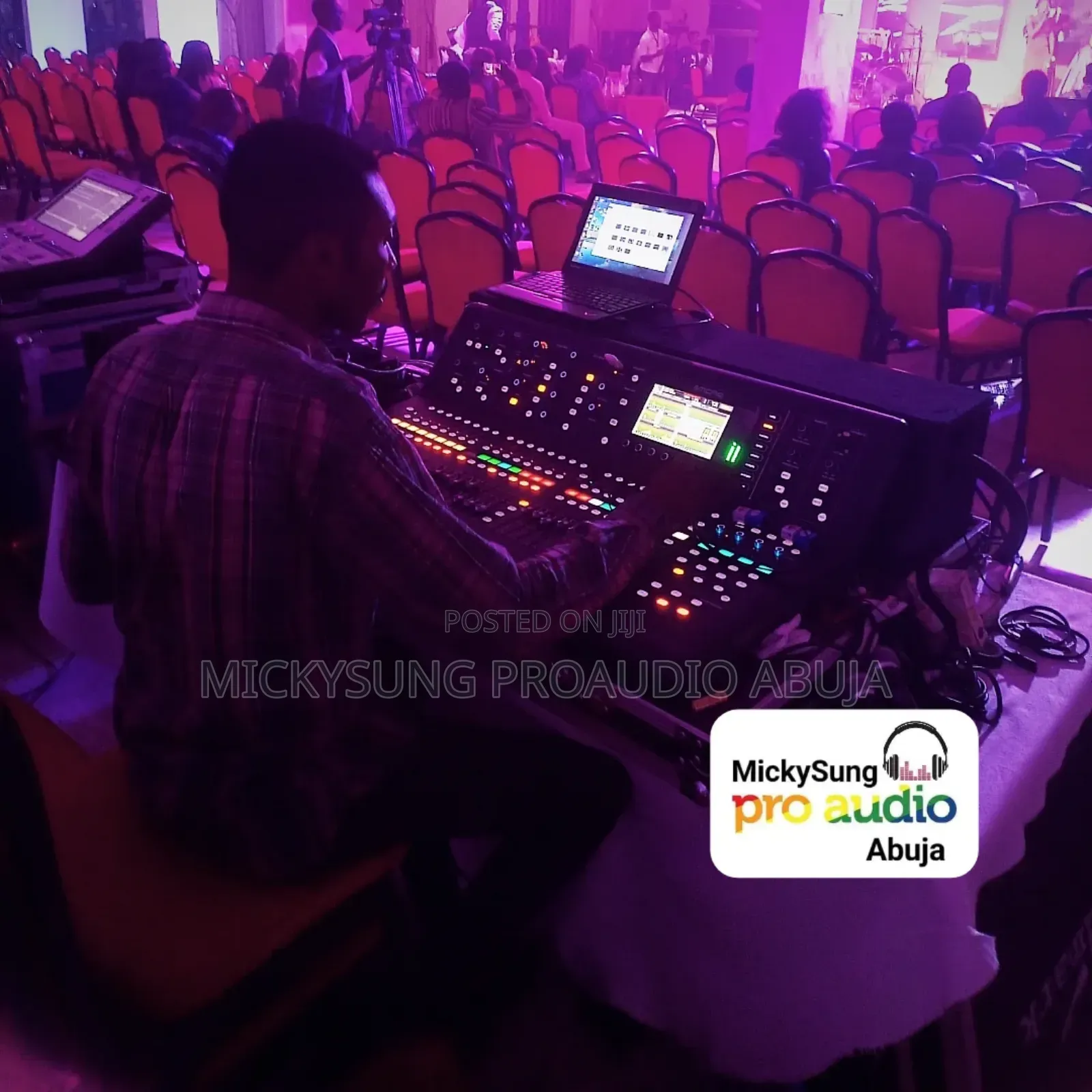 Need a Professional Sound Engineer??