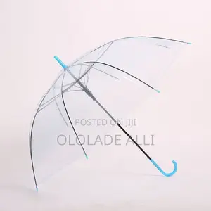 Transparent Umbrella