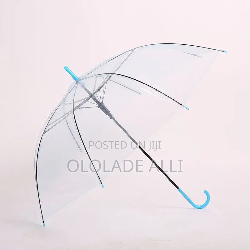 Transparent Umbrella