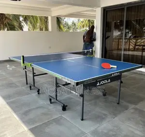Joola Aluminum Small Tyre Table Tennis Board