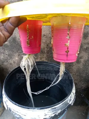Hydroponics Nutrients Npk, Calcium Nitrate And Epsom Salt