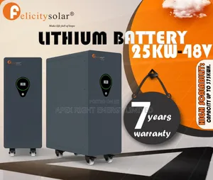 25kilowatts-hour Felicity Lithium Battery 7-yrs Warranty