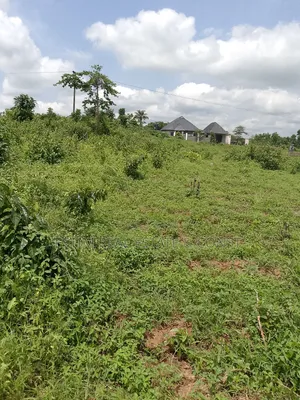 A Plot of Land at Ido Town, Ido LGC