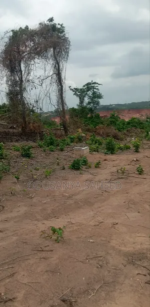Photo - For Sale Land
