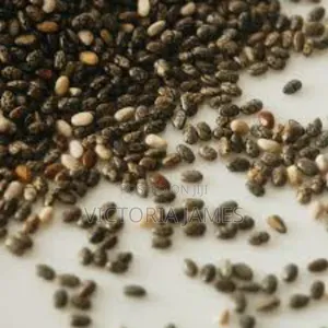 Castor Seeds