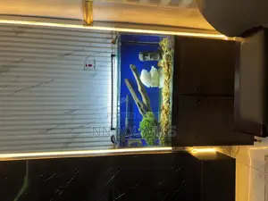 3ft Aquariums With Stand