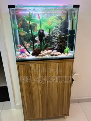 2ft by 1 Ft Aquarium With Stand