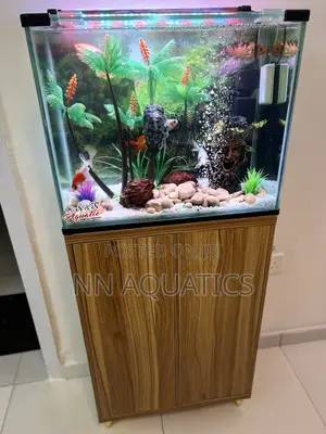 2ft by 1 Ft Aquarium With Stand