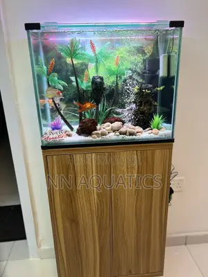 2ft by 1 Ft Aquarium With Stand