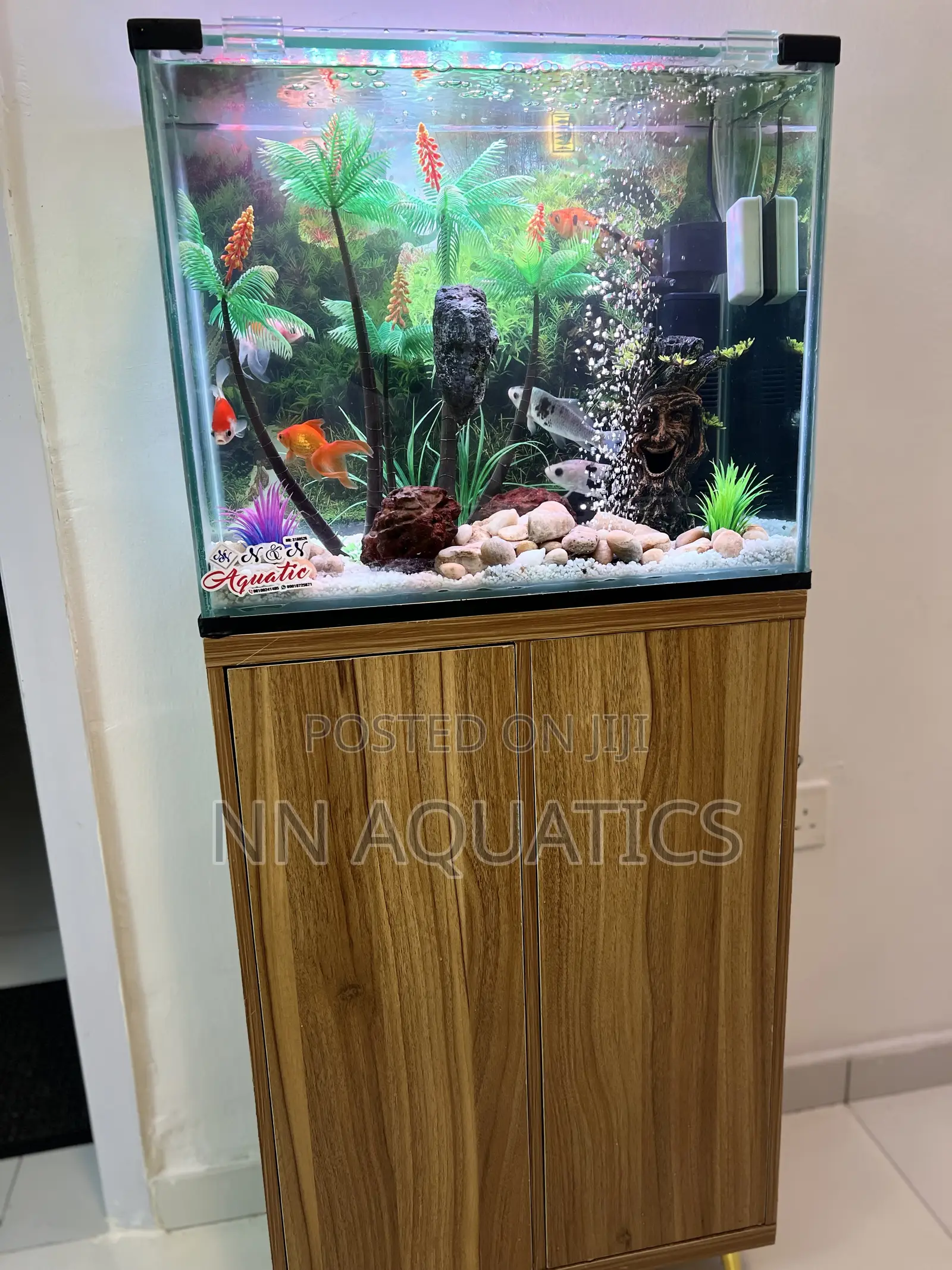 2ft by 1 Ft Aquarium With Stand