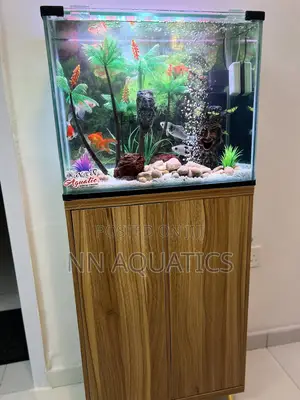 2ft by 1 Ft Aquarium With Stand