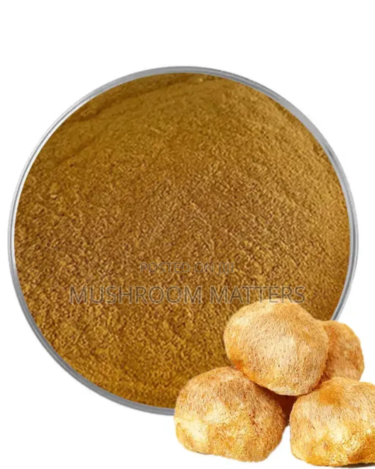 Lions Mane Extract Powder