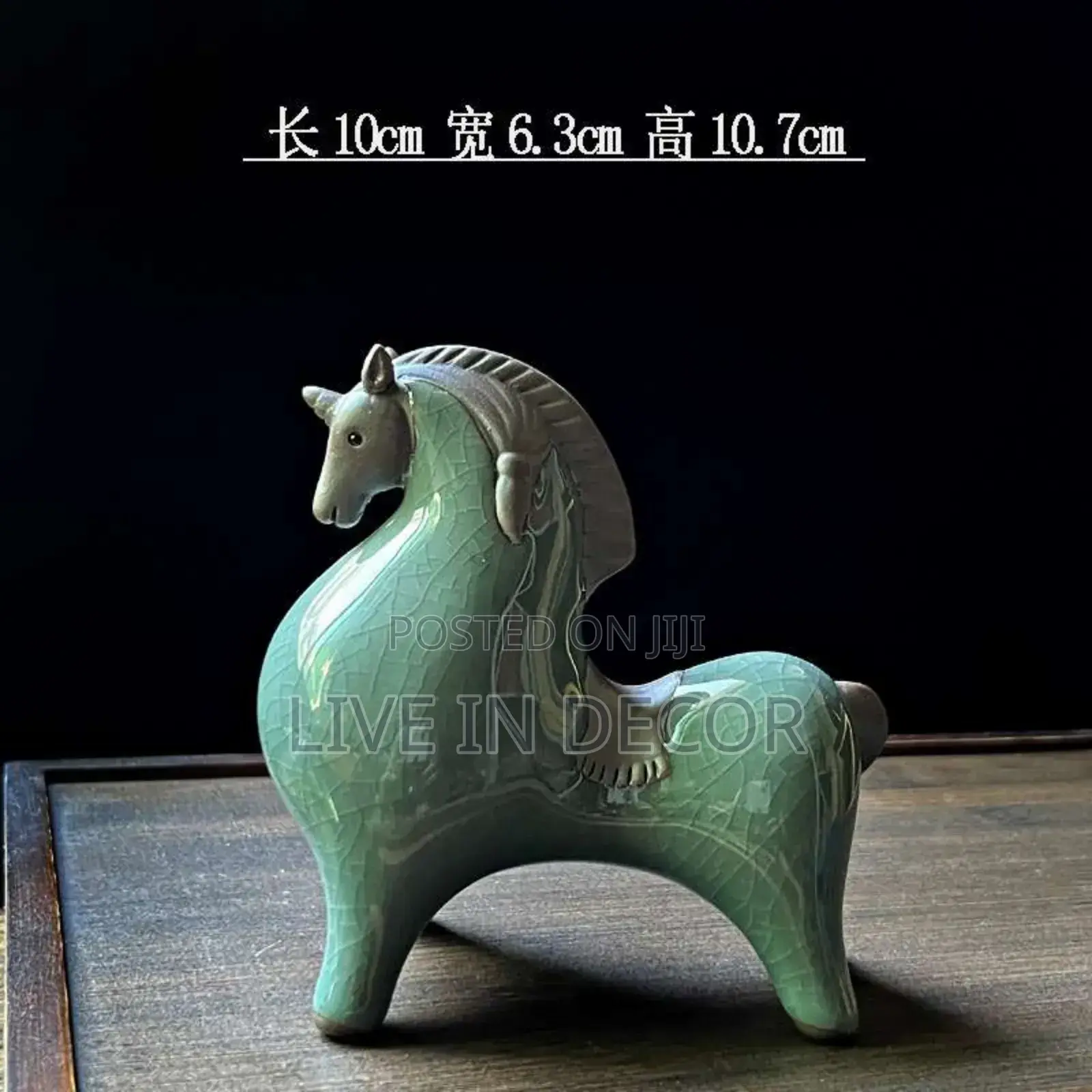 Dwarf Horse