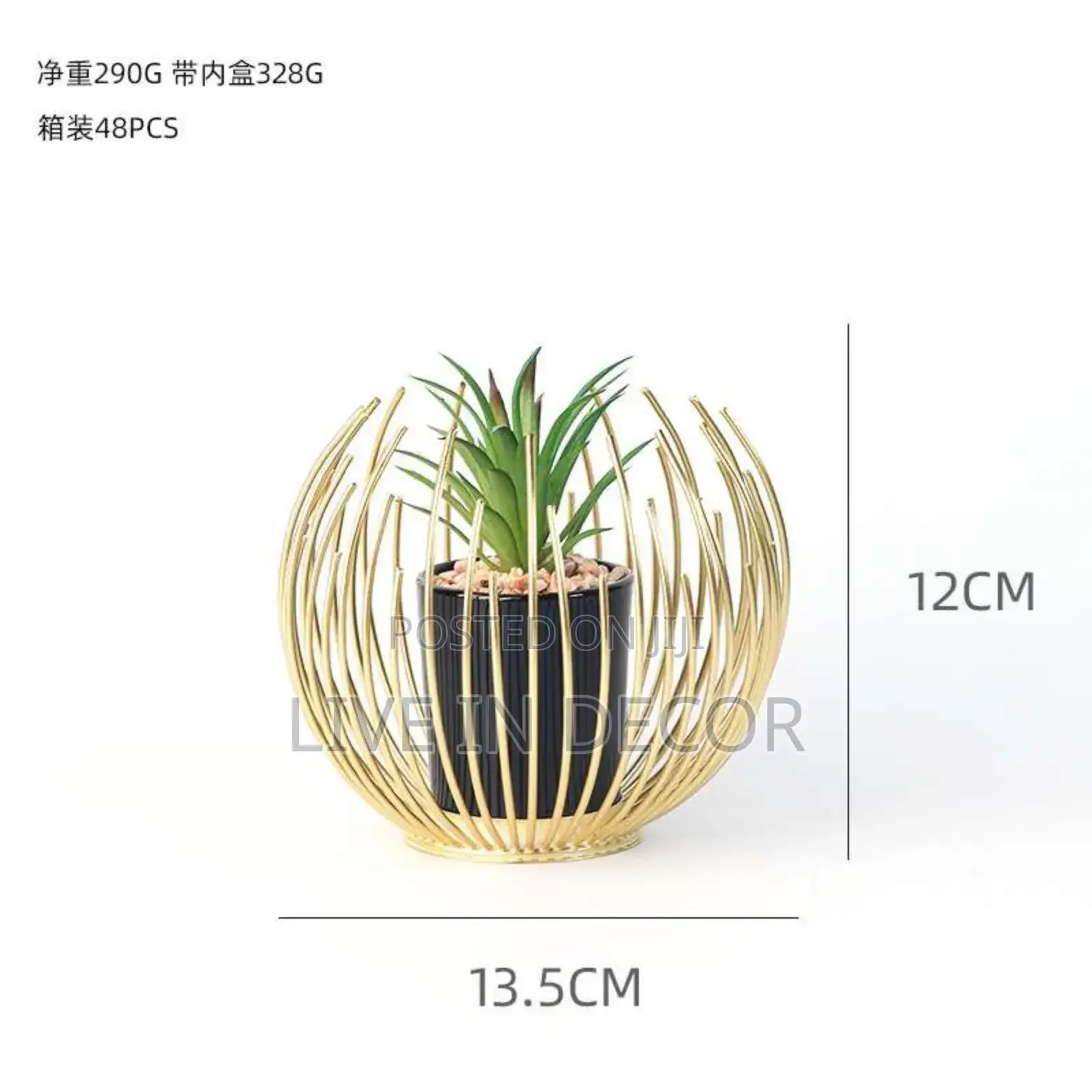 Golden Cage Plants