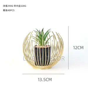 Golden Cage Plants