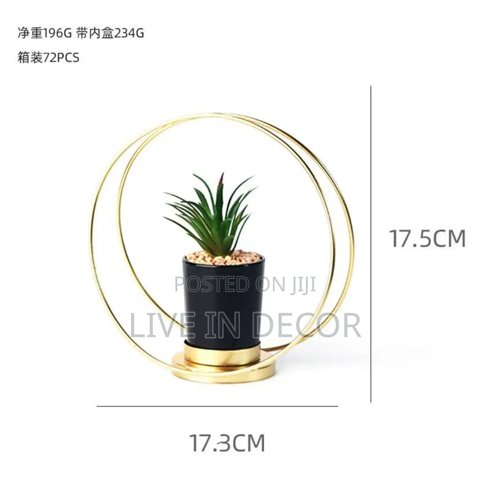 Golden Cage Plants