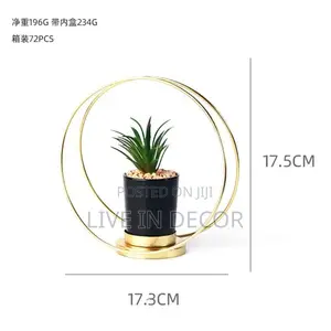 Golden Cage Plants
