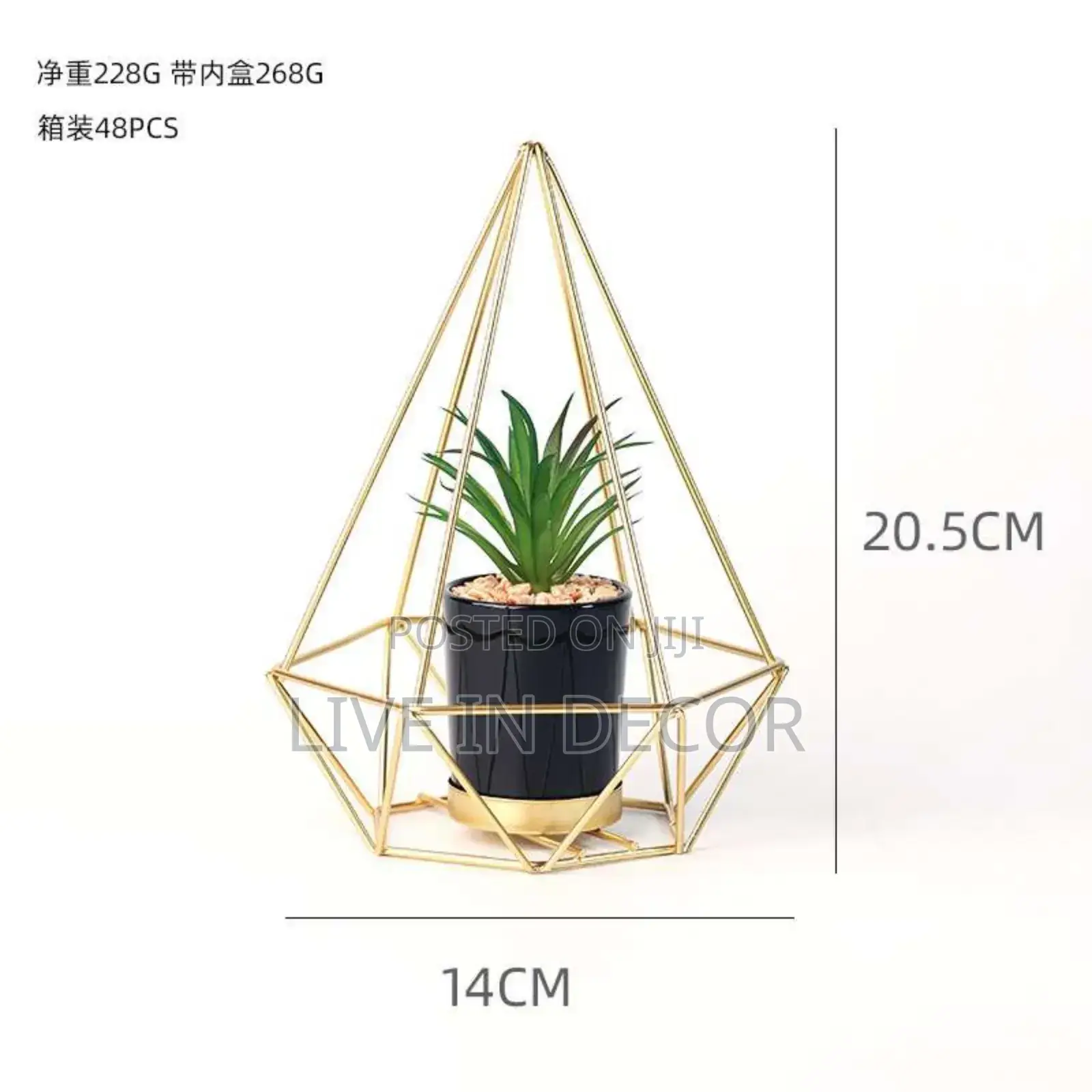 Golden Cage Plants