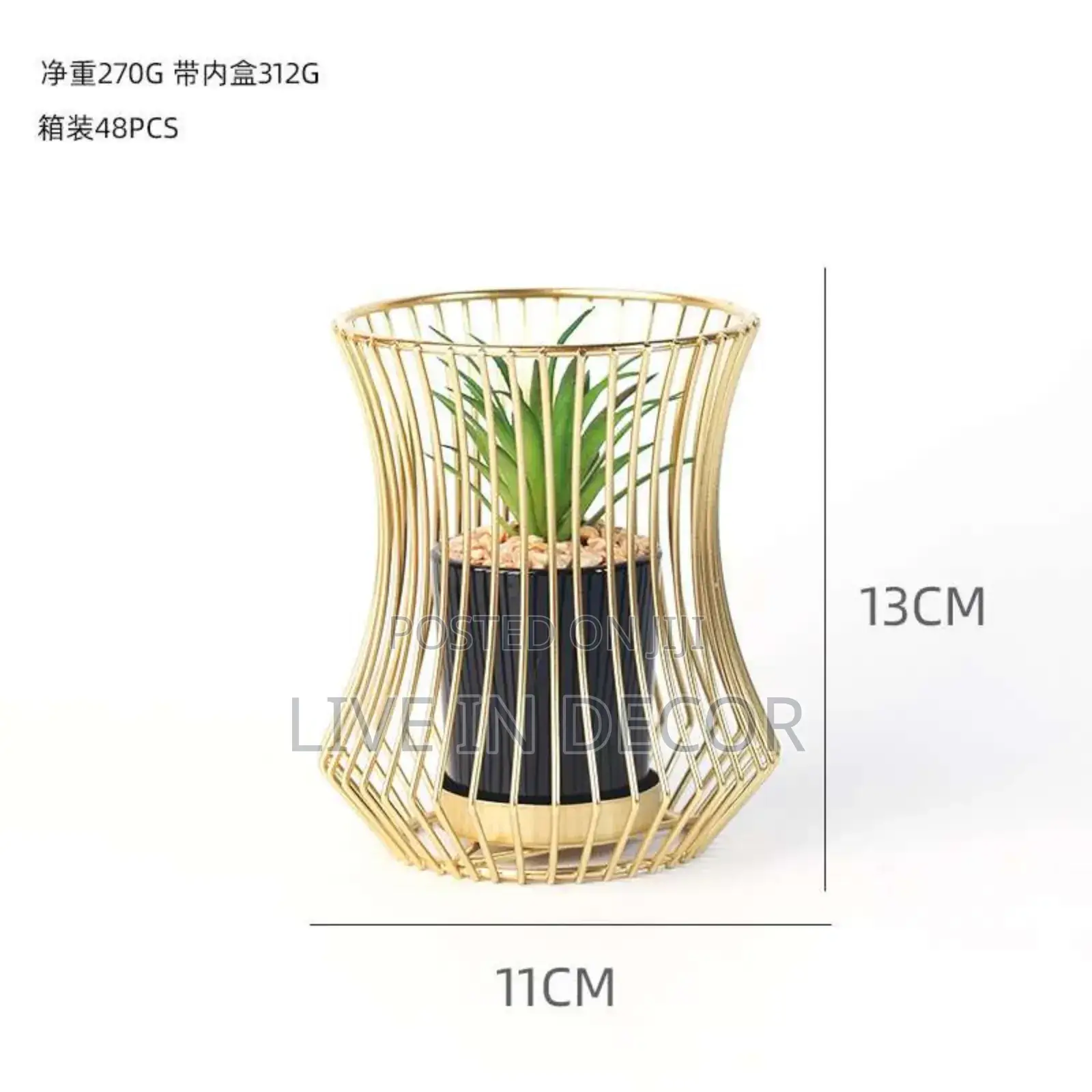 Golden Cage Plants