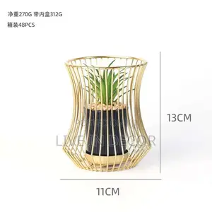 Golden Cage Plants