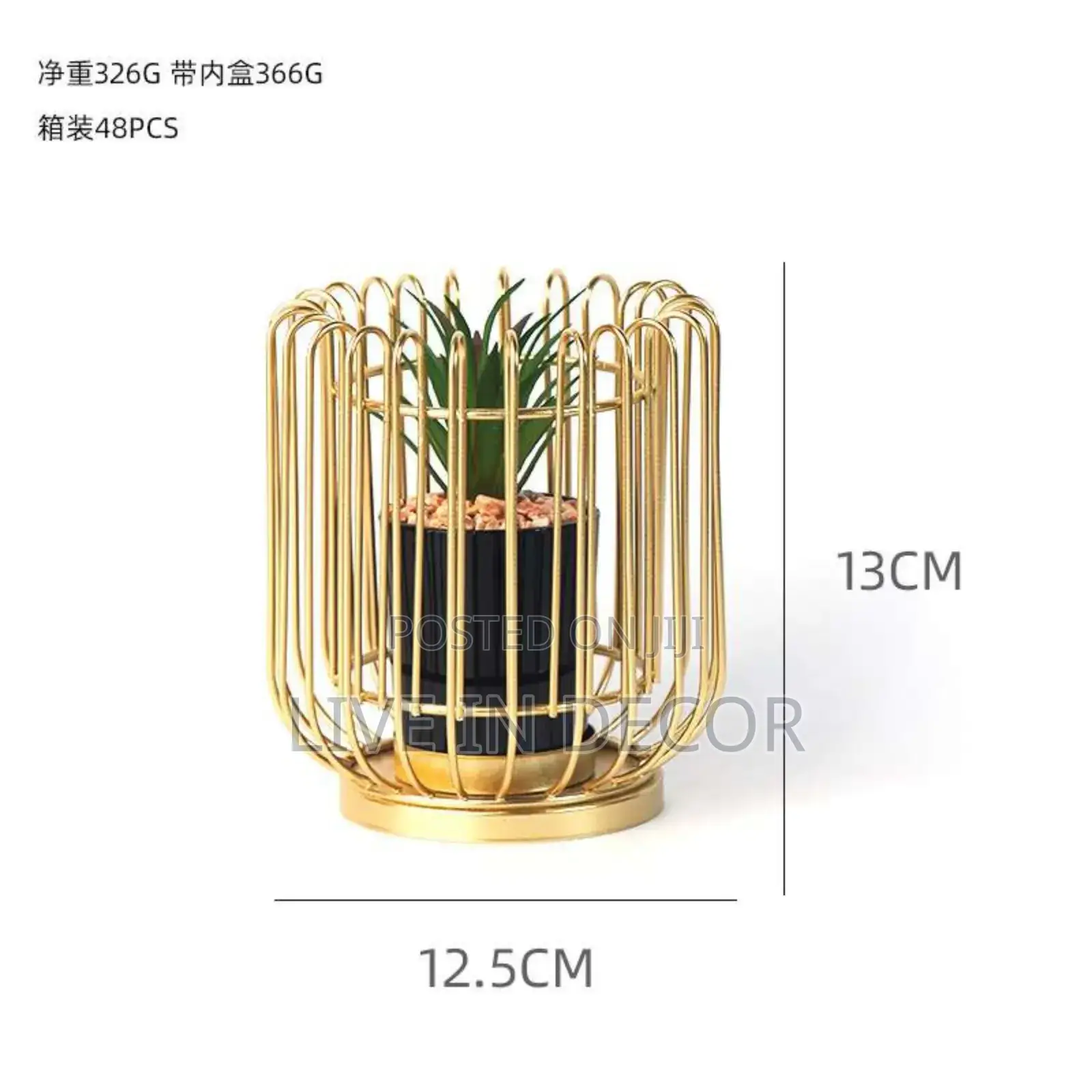 Golden Cage Plants