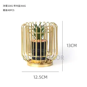 Golden Cage Plants