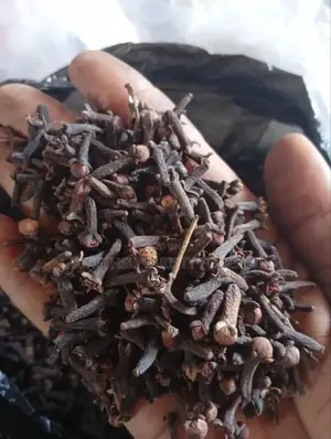 "The Aromatic Power of Grade 1 Cloves"
