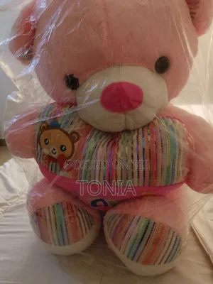 Photo - It's a New Teddy