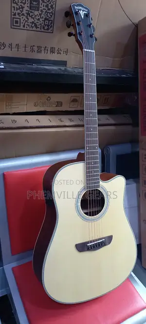 Bullfighter Semi Acoustic Guitar