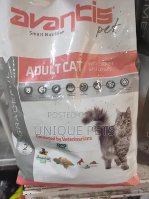 Photo - Avantis Cat