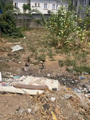 Photo - R of O Document