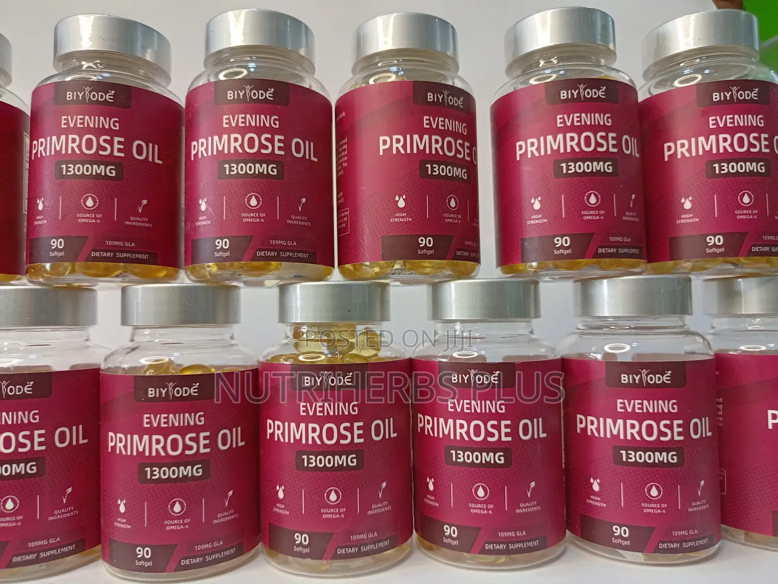 Evening Primrose Wholesale and Retail Sales