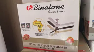 Photo - Binatone Ceiling Fans