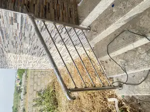 Entrance Stainless Rails