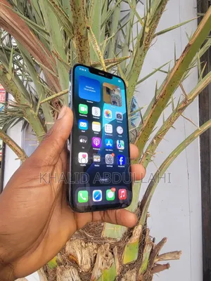 Apple iPhone 12 Pro Max 128 GB Blue