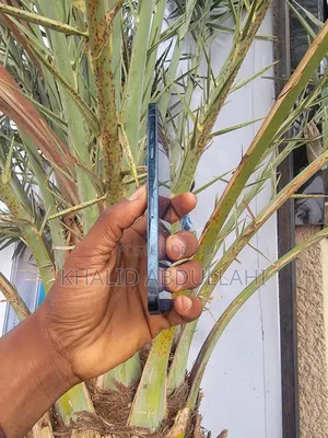 Apple iPhone 12 Pro Max 128 GB Blue